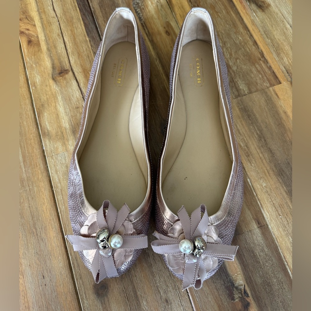 Coach Women's Metallic Abigail Flats